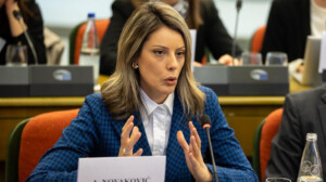 Ana Novaković Đurović