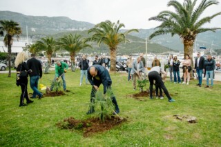 URA u Budvi akcijom sadnje drveća obilježila Dan planete Zemlje