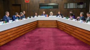 Zajednički konsultativni odbor EU i Crne Gore
